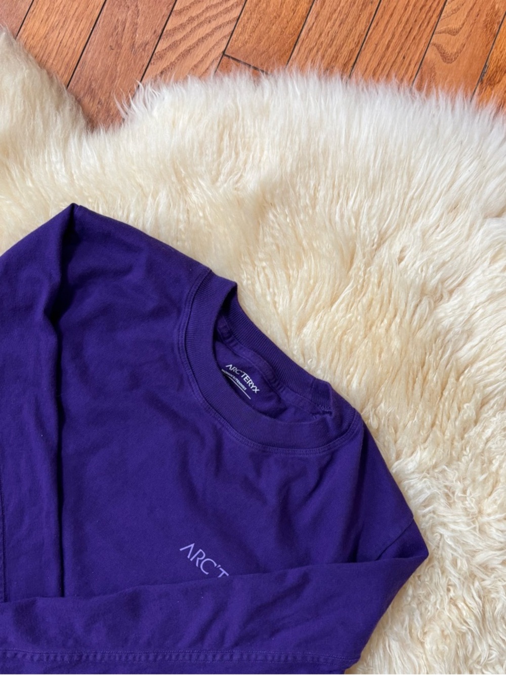 Arc'teryx Kragg Cotton Bird Crew Long Sleeve Top in Purple